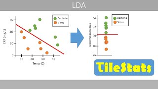 Linear discriminant analysis LDA  simply explained [upl. by Eugilegna]