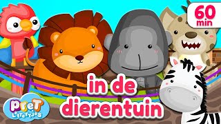 Pretlettertjes • Dierengeluiden in de Dierentuin • 60 min Special [upl. by Ardnuhsal604]