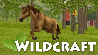 Life As A Wild Horse 🌿 WildCraft • 2 [upl. by Meares]