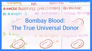 Bombay Blood The True Universal Donor Blood Type [upl. by Sinylg183]