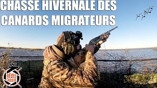 Chasse Hivernale des Canards Migrateurs   Marius Chasse [upl. by Anigroeg680]