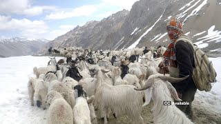 A Shepherds Journey with English Subtitles [upl. by Louls]