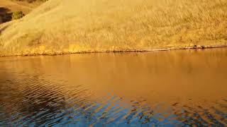 lostock dam sounding for winter bass [upl. by Goetz672]