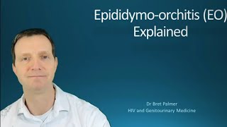 Epididymoorchitis EO explained 49 [upl. by Neyuq]