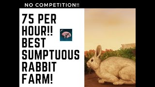 Sumptuous Rabbit Best Farm Updated 2024 [upl. by Assilac]