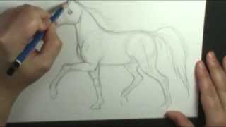 How to draw a horse trotting [upl. by Annemarie532]