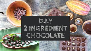 How to Make Chocolate from Cacao Nibs [upl. by Erastes]