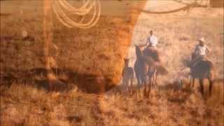 The Rolling Stones  Wild Horses Lyrics HD [upl. by Tnomel]