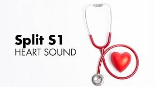 Split S1  Heart Sounds  MEDZCOOL [upl. by Loredana]