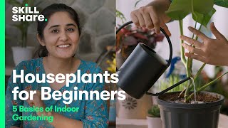 Houseplants for Beginners 5 Basics for Gardening Indoors [upl. by Steffie]