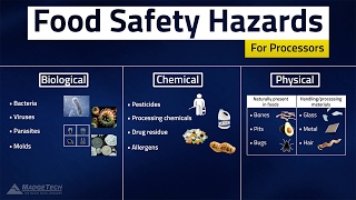 HACCP Food Safety Hazards [upl. by Onihc614]