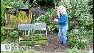 How to grow Eremurus Foxtail Lily bulbstubers  FarmerGracycouk [upl. by Notgnirra]