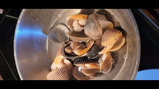 How To Clean Cockle Clams [upl. by Hutchins]