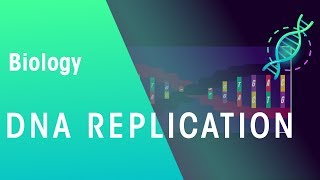 DNA Replication  Genetics  Biology  FuseSchool [upl. by Herm884]