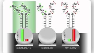 Illumina Infinium Assay An Overview [upl. by Alilak]