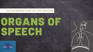 Organs of Speech  An Introduction to the Organs  Speech Mechanism  Phonetics  HSA PSC Exam [upl. by Enawd]