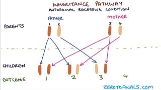 Understanding Autosomal Dominant and Autosomal Recessive Inheritance [upl. by Wittie]