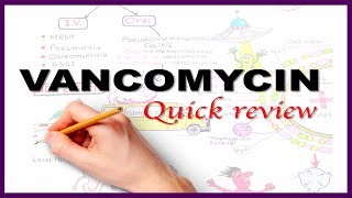 VANCOMYCIN Quick Review with Mnemonic [upl. by Ikilisav]