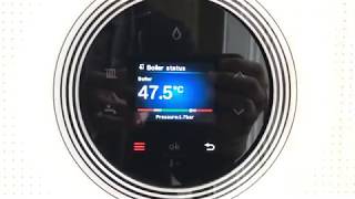 Checking your system pressure on your Worcester Style boiler [upl. by Avihs]