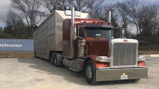 Walk Around 26K lb Gooseneck GVWR 5 Car Hauler Trailer  Texas Pride [upl. by Acalia78]