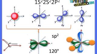 Hibridación de los Orbitales del Átomo de Carbono  Lección Teórica [upl. by Resneps]