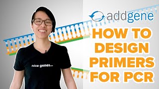 How to Design Primers for PCR [upl. by Brothers641]