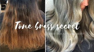 How To Tone Hair CHEAP EASY SECRET [upl. by Randal261]