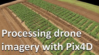 How to process RGB and multispectral drone imagery in Pix4D Drones in agriculture series 27 [upl. by Egbert]