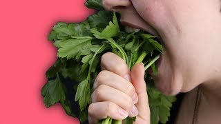 Ohne Fleisch aber lecker Die 6 besten VeggieFoods [upl. by Zendah]