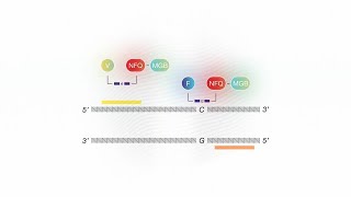 How it Works TaqMan SARSCoV2 Mutation Panel [upl. by Nabetse]