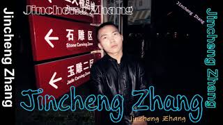 Jincheng Zhang  Pot Instrumental Version Background Music Official Audio [upl. by Nali]