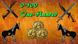 Skyrim How To Get Level 100 OneHanded FLIPPING EASY [upl. by Ecirtnom]