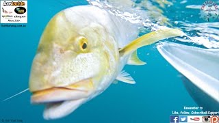 Drift Fishing the Roy Rufus Artificial Reef in Hervey Bay [upl. by Ahtnamas]