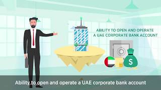 Dubai amp UAE Free Zone Business Setup [upl. by Wadell701]