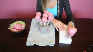 StepbyStep Cake Pop Tutorial [upl. by Jeb298]