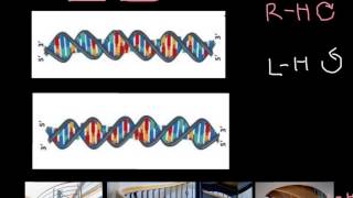 How to recognize LeftHanded and RightHanded DNA [upl. by Novyat]