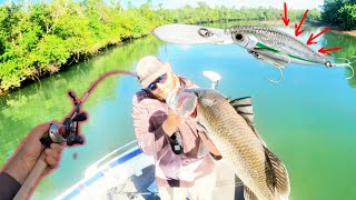 lure fishing Barramundi  HinchinBrook [upl. by Leahciam281]