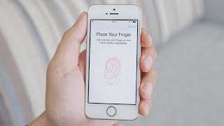 How Does Fingerprint Scanning Work [upl. by Nevah263]