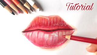 How To Draw Lips  Colored Pencil Tutorial [upl. by Lednyk336]