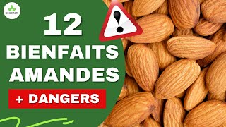 AMANDES LES BIENFAITS ET DANGERS CACHÉS POUR LA SANTÉ [upl. by Novi864]