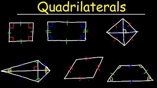 Quadrilaterals  Geometry [upl. by Wenoa]