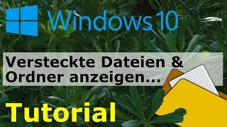 Versteckte Ordner und Dateien anzeigen in Windows 10 [upl. by Entwistle]