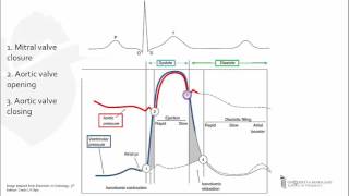 Left Ventricular PressureTime Curve [upl. by Wareing519]