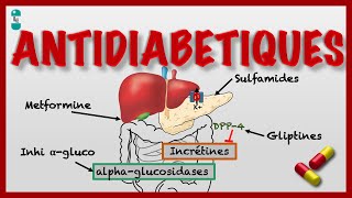 Les Antidiabétiques dans le Diabète et leur Pharmacologie [upl. by Ninaj]