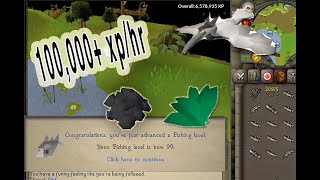 OSRS How to 3 Tick Barbarian Fish  THE EASIEST WAY [upl. by Leiso955]