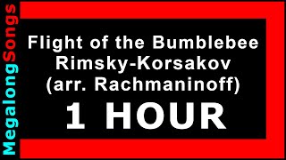 Flight of the Bumblebee  RimskyKorsakov arr Rachmaninoff 🔴 1 HOUR ✔️ [upl. by Apeed]