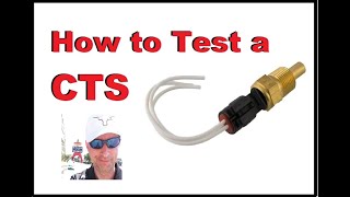 How to Test a Coolant Temperature Sensor [upl. by Nanyk]