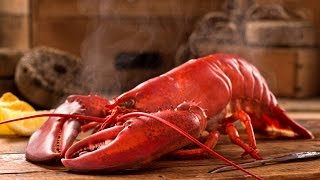 How To Correctly Cook Lobster [upl. by Abisha]