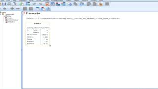 Standard Deviation Variance Range  SPSS [upl. by Eillor]