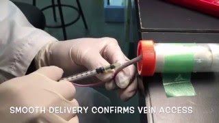 How to do intravenous tail injection in mouse [upl. by Thorndike]